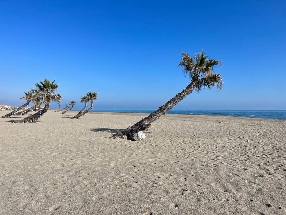 Agreable Maison Barcares Le Barcarès Dış mekan fotoğraf